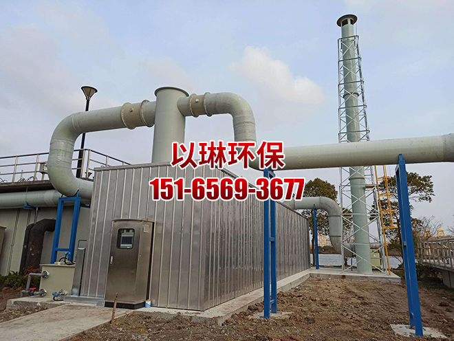 生物除臭箱内部培养的是哪种微生物